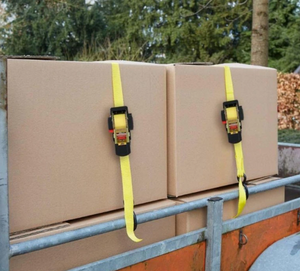 Dunlop Automatic Ratchet Strap with Hooks, 4m/250kg GS TÜV